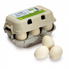 Eieren - Wit - In karton - Voeding - Spelen