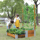 Multi-Level Planting Bed with Trellis