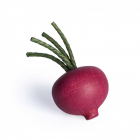 Red Beet - Wooden Toy