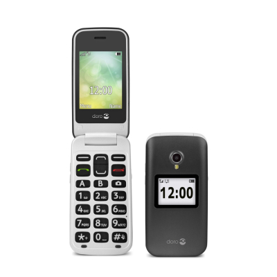 Mobile Phone 2424 2G - grey/white