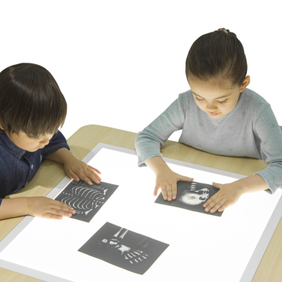 Interactive Light Table