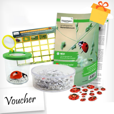 Gift set "ladybird", compact, 5 items