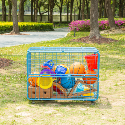 Mobile Toy Carriage - Outdoor