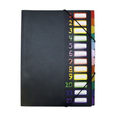 TimeTEX table multi-compartmental folder 1-12 A4, coloured with rubber closure