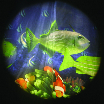 Tropical Fish - Projector Wheel